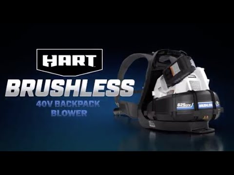 40V Brushless 625 CFM Backpack Blower Kit