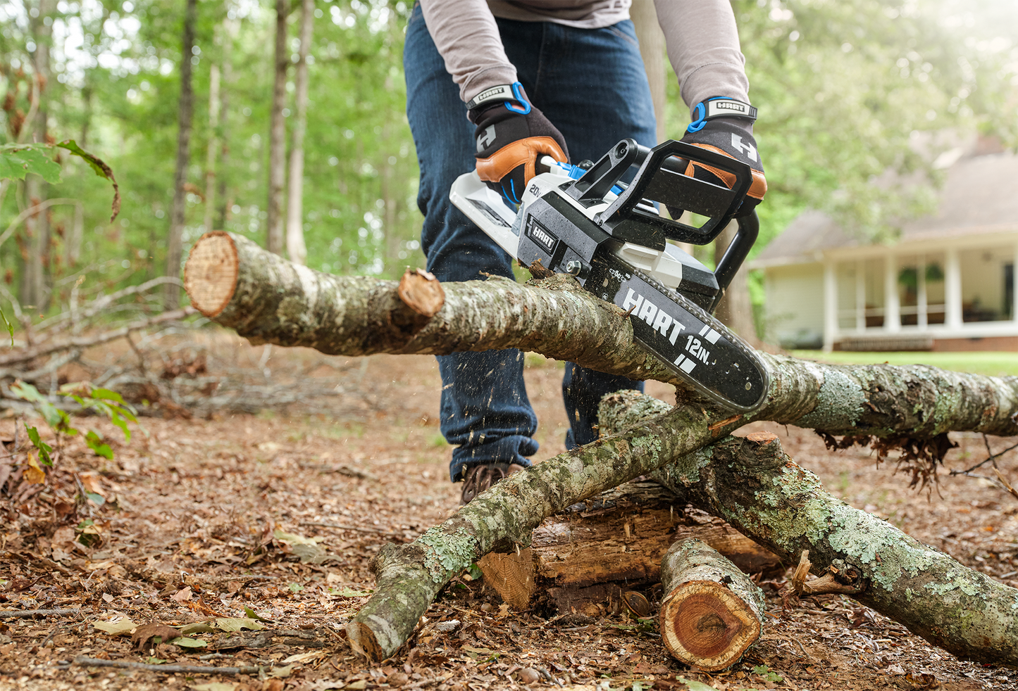 20V 12" Chainsaw (Battery and Charger Not Included)
