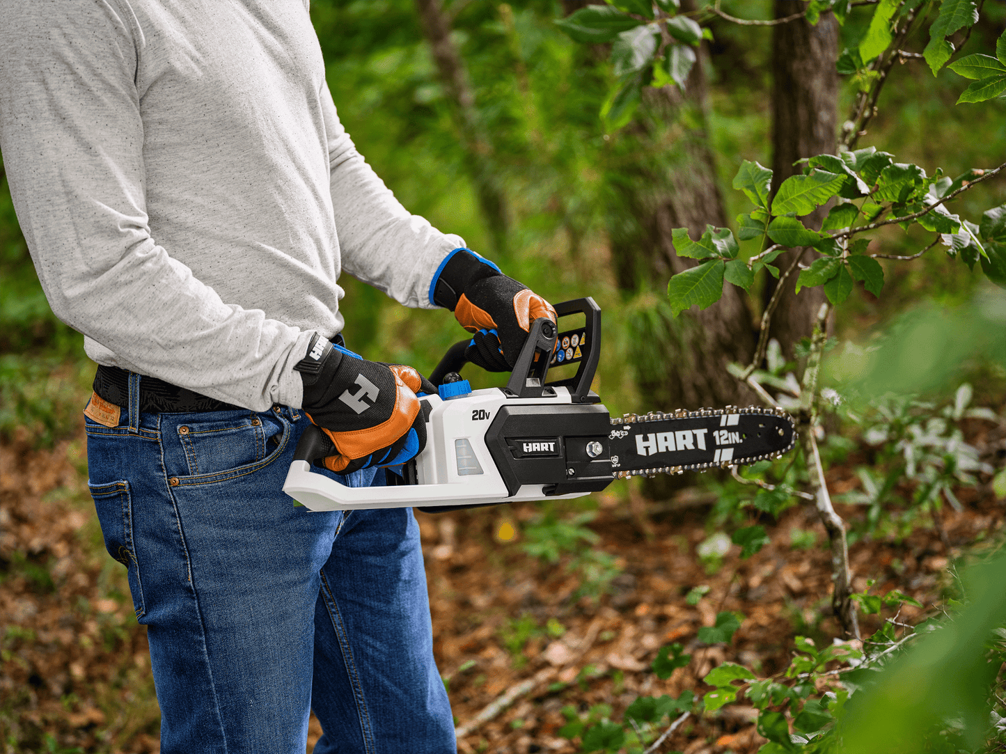 20V 12" Cordless Chainsaw Kit