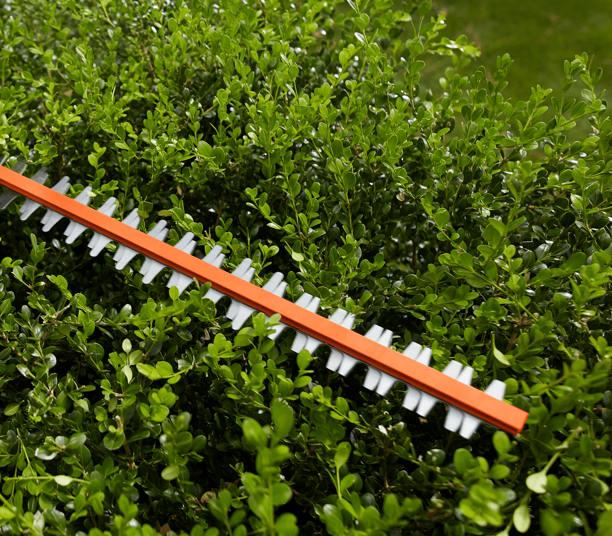 20V 18" Hybrid Hedge Trimmer