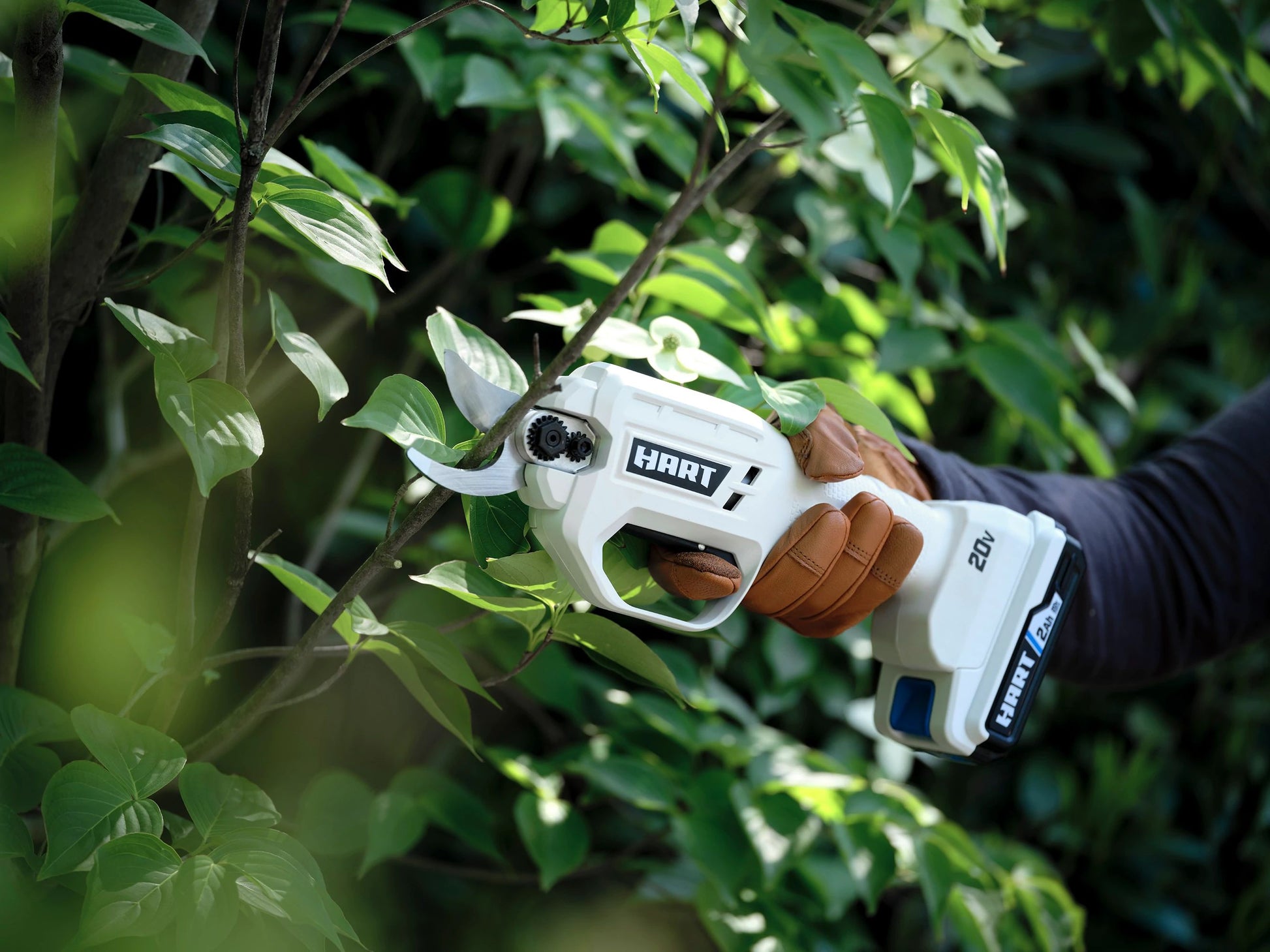 20V Pruning Shear Kit