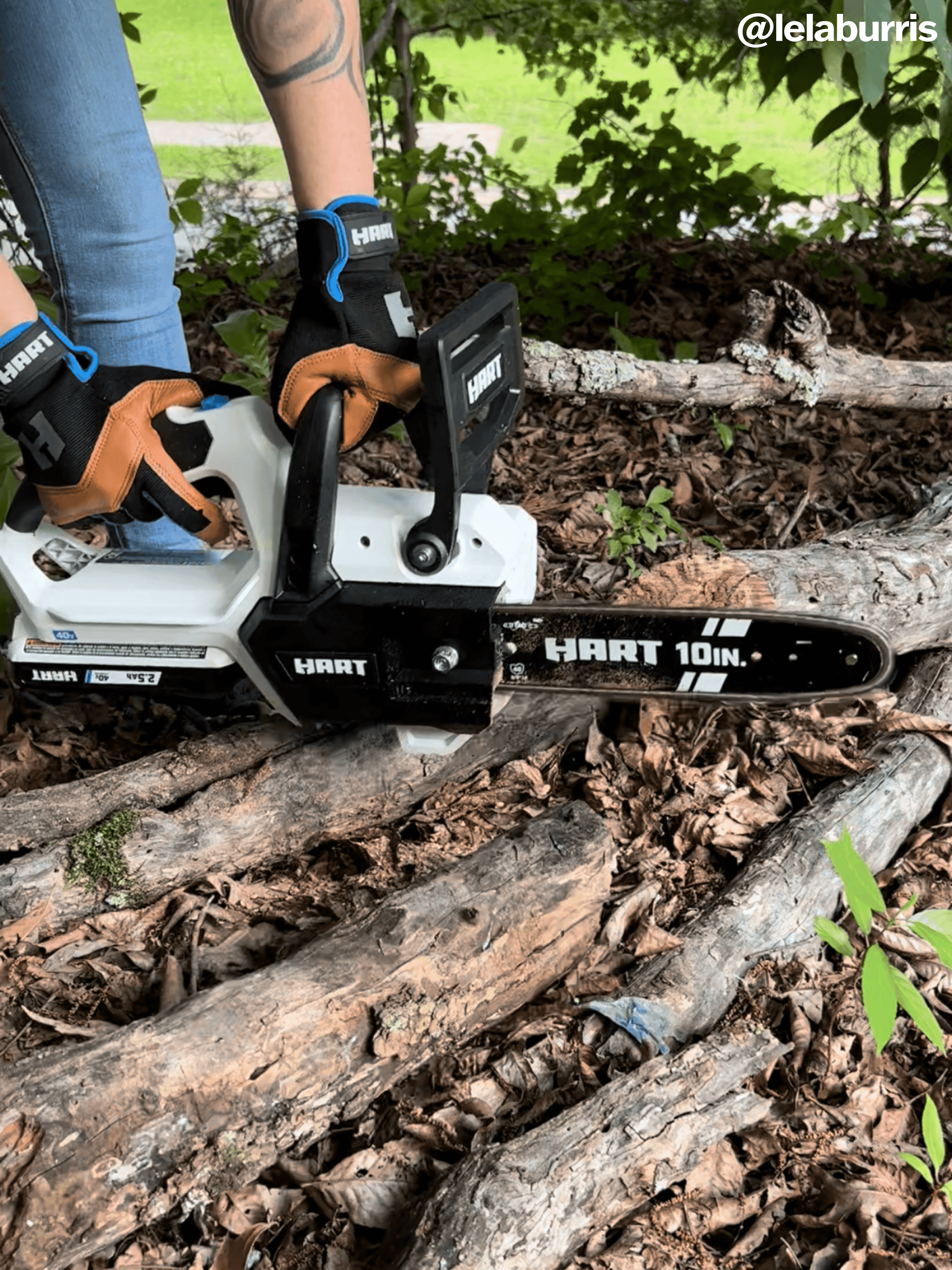 40V 10" Cordless Chainsaw Kit