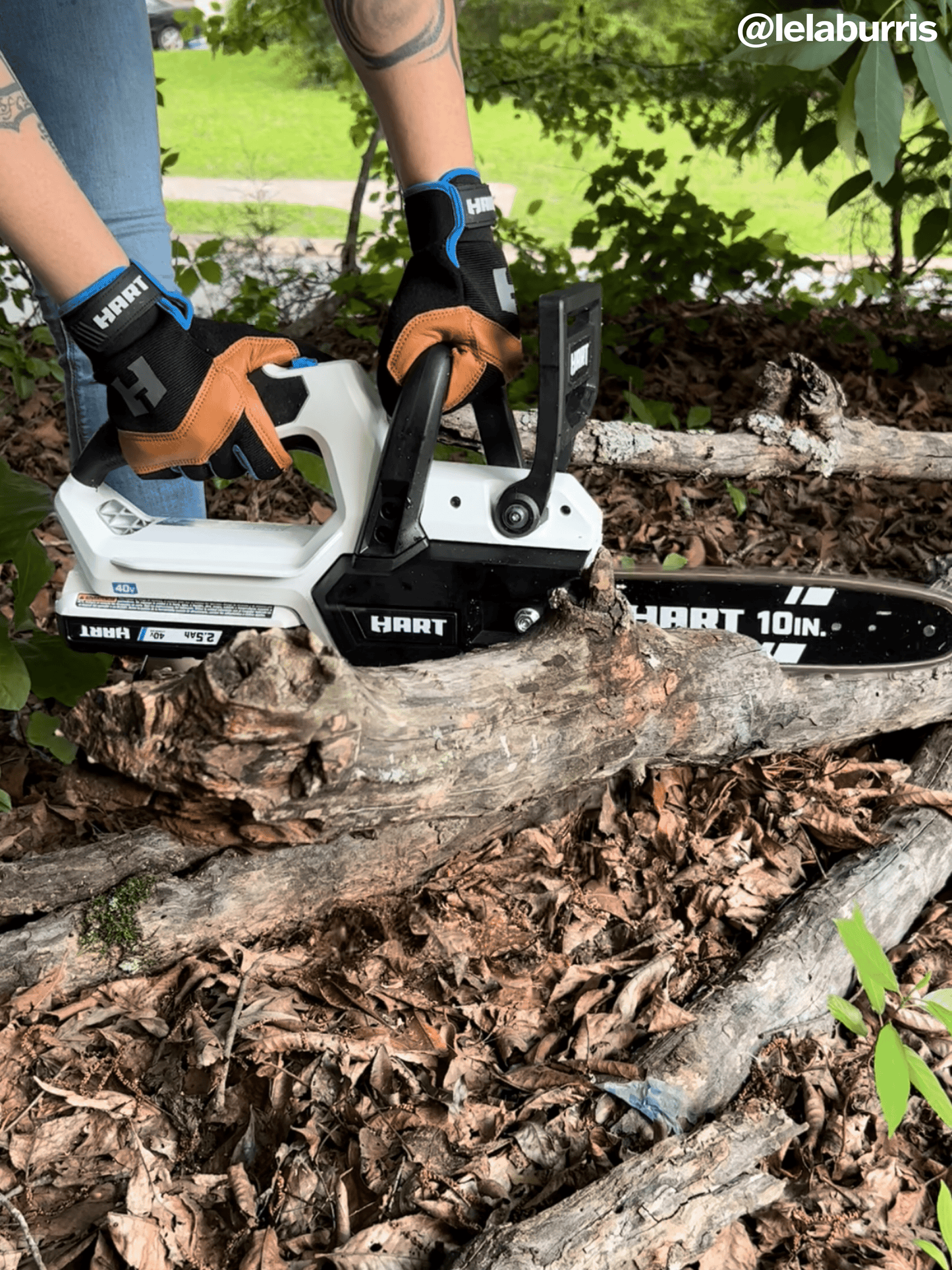 40V 10" Cordless Chainsaw Kit