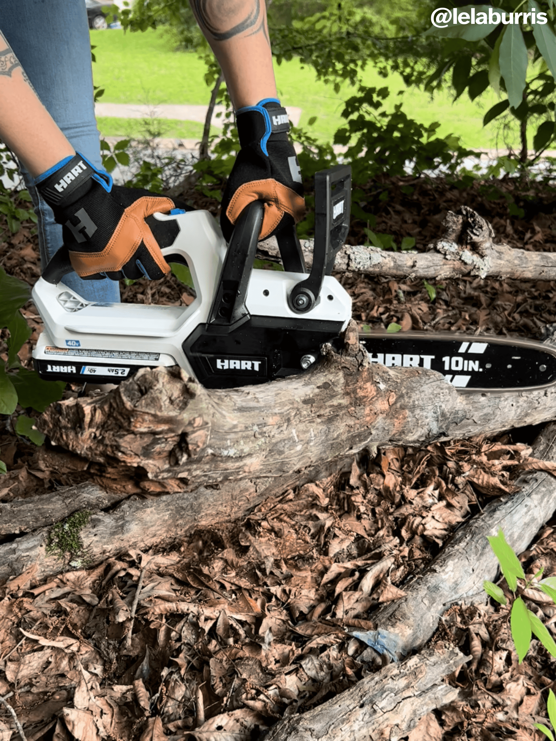 40V 10" Cordless Chainsaw Kit