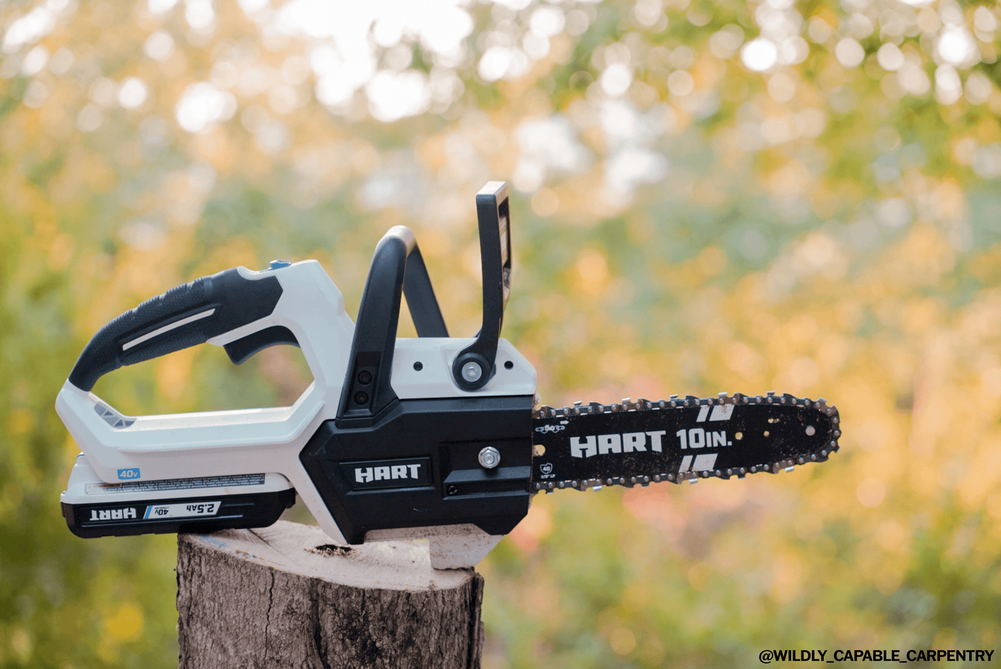 40V 10" Cordless Chainsaw Kit