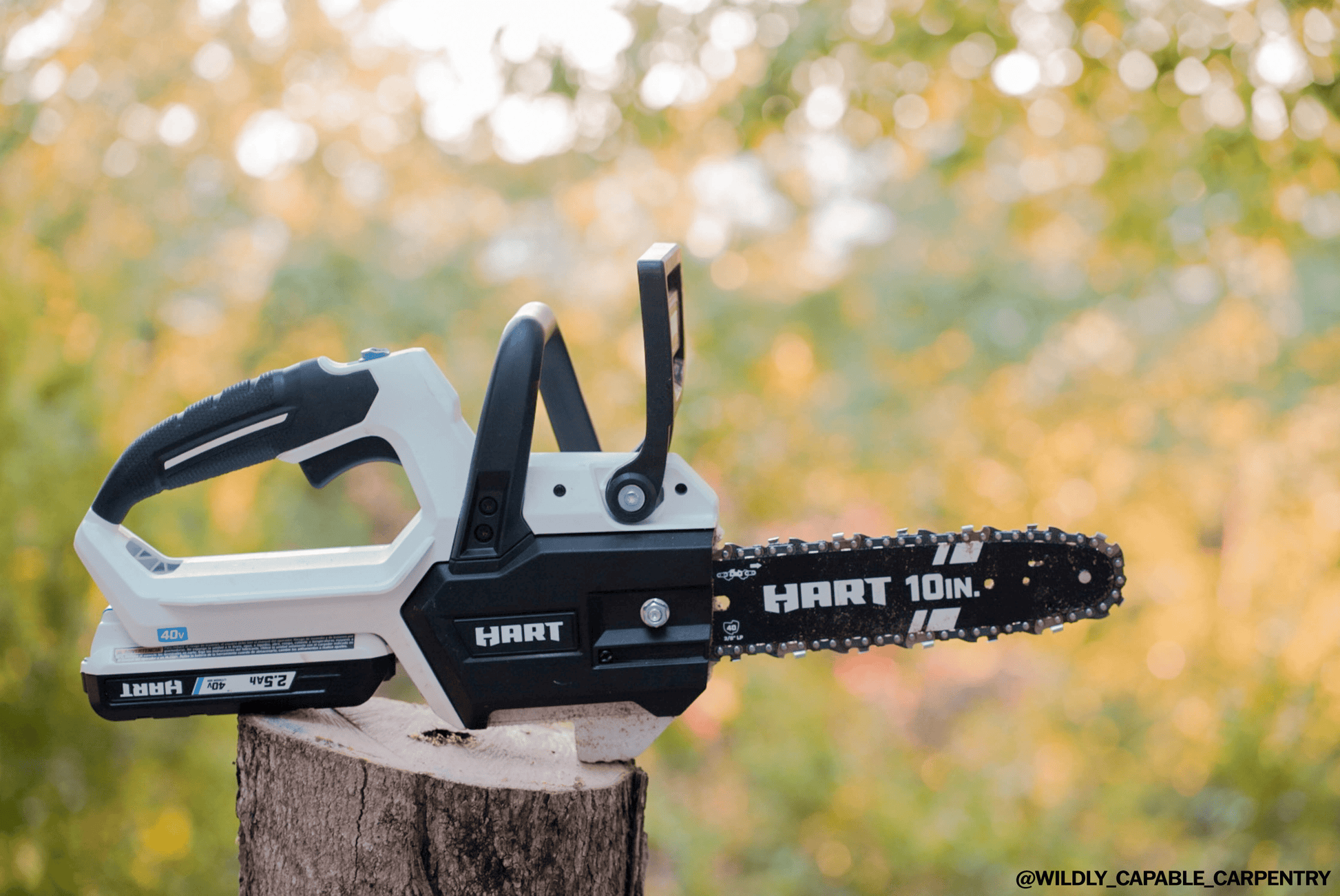 40V 10" Cordless Chainsaw Kit