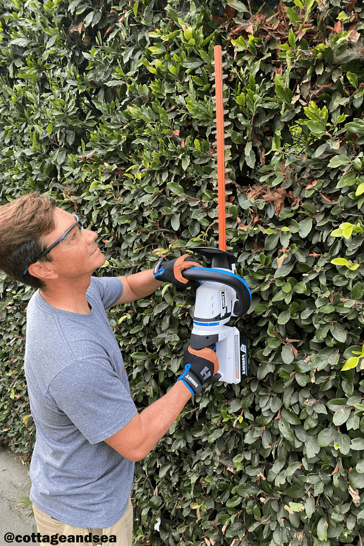 40V 24" Hedge Trimmer (Battery and Charger Not Included)