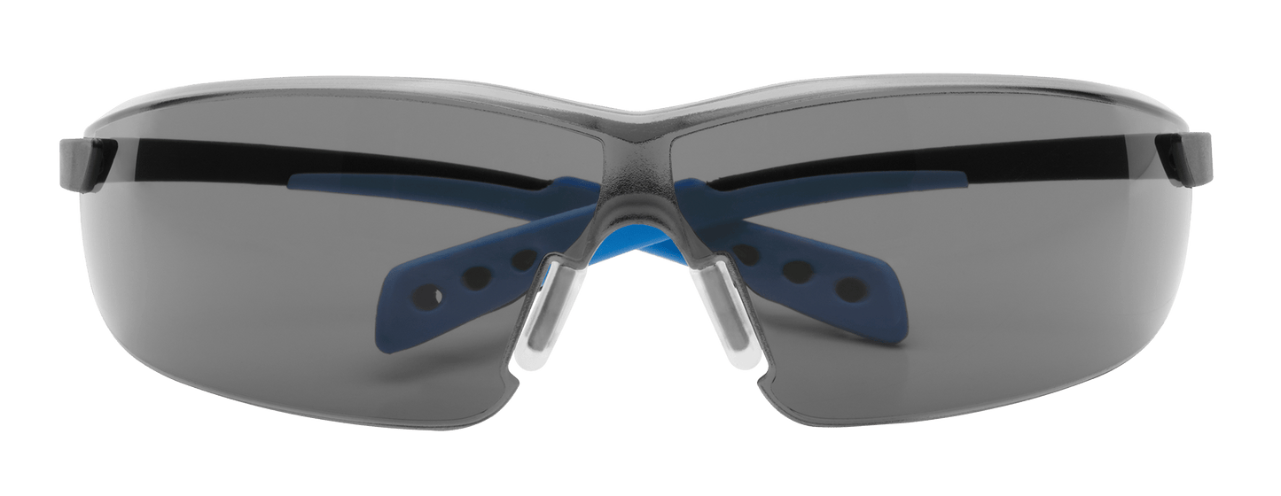 Tinted Glasses + Ear Plugs