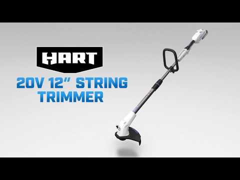 20V Hybrid 12" String Trimmer/Edger & Blower Kit