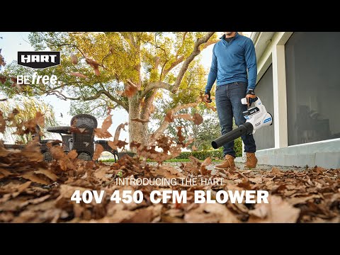 40V 450 CFM Cordless Blower Kit
