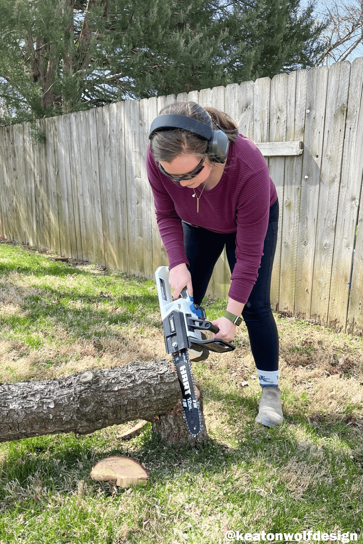 20V 12" Cordless Chainsaw Kit