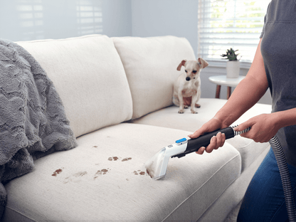 Portable Spot Cleaner